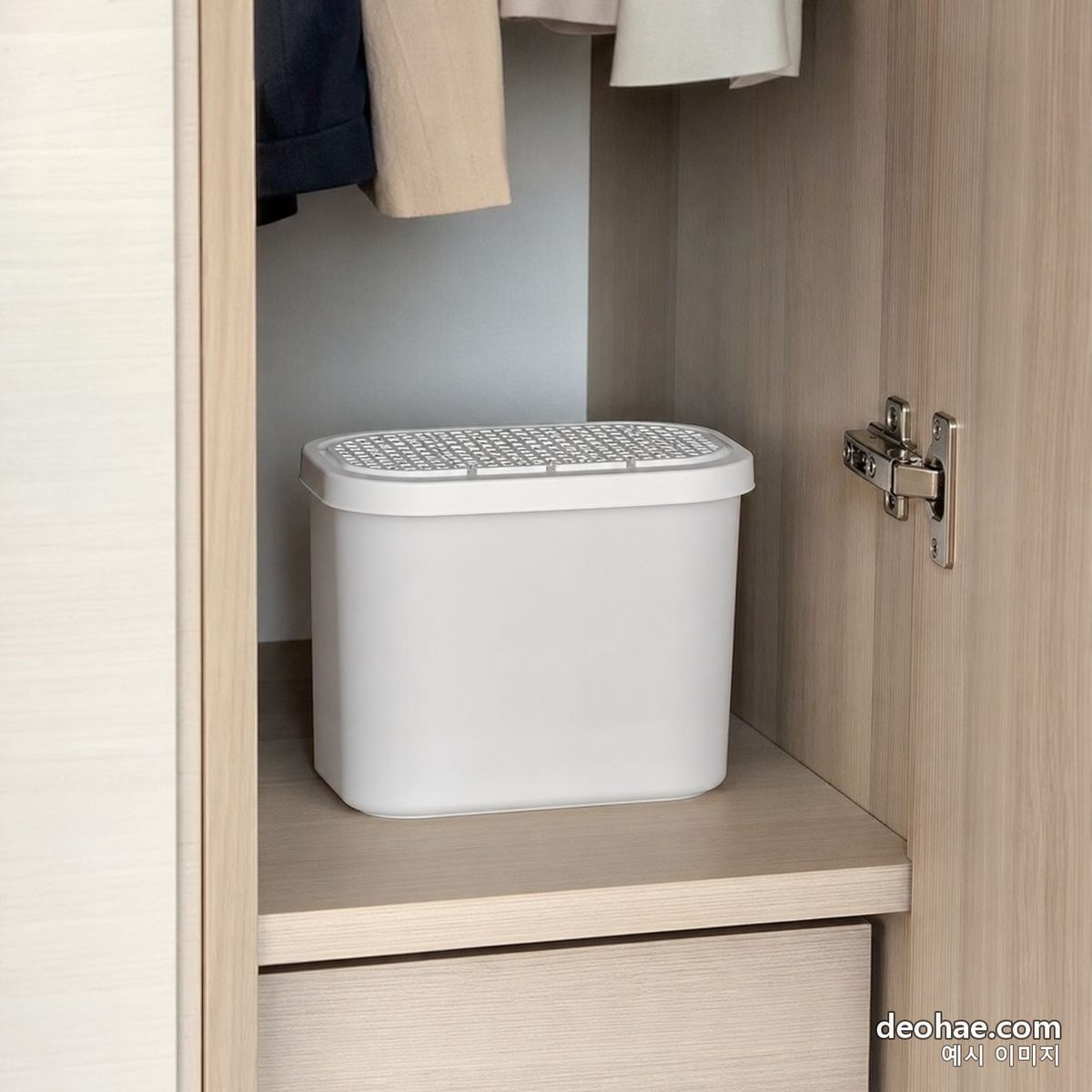 문을 열어 둔 옷장 안쪽에 놓인 제습제